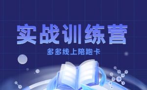多多实战训练营,从0到1打造一个真正賺钱的店铺-大兵轻创资源库