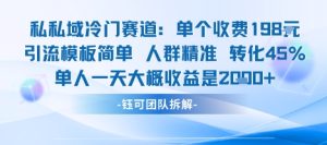 私域冷门赛道单个收费198米引流模板简单人群精准 45%的转化率单人一天大概收益多张-大兵轻创资源库