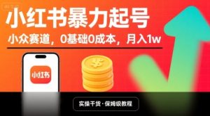 小红书暴力起号，小众赛道，0基础0成本，月入1w-大兵轻创资源库