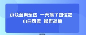 小众蓝海玩法 一天搞了四位数 小白可做 操作简单-大兵轻创资源库