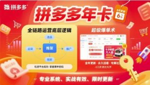 拼多多年卡【8月更新6节】拼多多全链路运营底层逻辑，超级爆单术-大兵轻创资源库