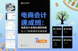 电商会计速成班,电商会计全程处理的技能-大兵轻创资源库