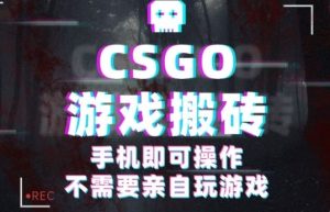 CSGO游戏挂G捡漏，单日扫货5张+，年底小高峰上车可吃肉，手机即可操作，兼职副业创业网创【揭秘】-大兵轻创资源库