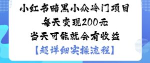 小红书暗黑小众冷门项目每天变现2张当天可能就会有收益-大兵轻创资源库