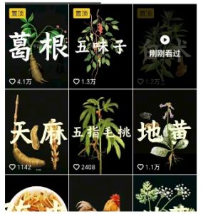 抖音中草药赛道,用AI做中草药故事视频,45条作品涨粉13W,橱窗带货猛猛出单-大兵轻创资源库
