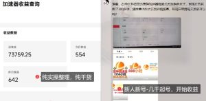 游戏加速器项目4.0_最新打法思路(爱玩游戏也能边玩边被动收益)-大兵轻创资源库